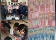 Matemija, Polres Toraja Utara Amankan 6 Pria Terduga Pelaku Judi di Lokasi Adu Kerbau Tondon Langi’