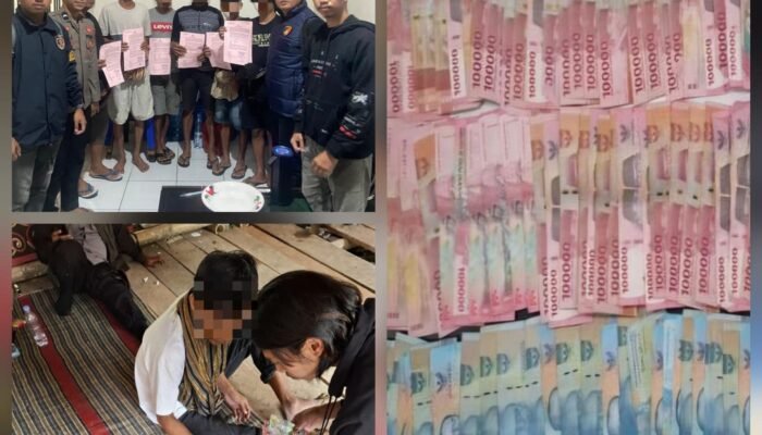 Matemija, Polres Toraja Utara Amankan 6 Pria Terduga Pelaku Judi di Lokasi Adu Kerbau Tondon Langi’