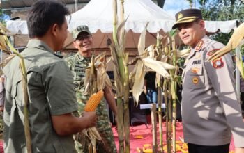 Kapolresta Mamuju Ikuti ki Panen Raya Jagung Serentak Kuartal II 2026 Bersama Presiden RI dan Kapolri Melalui Zoom Meeting
