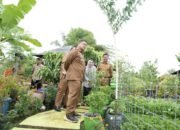 Urban Farming Jadi Andalan, Wali Kota Makassar Minta Ki Warga Maksimalkan Pekarangan