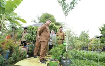 Urban Farming Jadi Andalan, Wali Kota Makassar Minta Ki Warga Maksimalkan Pekarangan