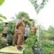Urban Farming Jadi Andalan, Wali Kota Makassar Minta Ki Warga Maksimalkan Pekarangan