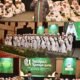 SIT Ikhtiar UNHAS Gelar ki Imtihan dan Khotmul Qur’an*