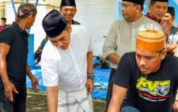 Presiden Prabowo Kirim Sapi Kurban 868 Kg ke Wajo, Bupati Andi Rosman Sampaikan Terima Kasih