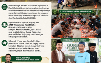 Polres Wajo Tebar Kepedulian, 17 Ekor Sapi Kurban Dibagikan ke Masyarakat