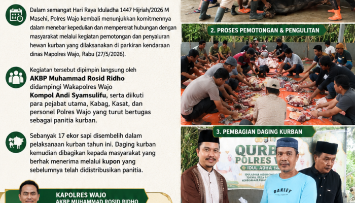 Polres Wajo Tebar Kepedulian, 17 Ekor Sapi Kurban Dibagikan ke Masyarakat