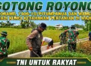 Gotong Royong TNI dan Warga Jadi Kunci Ketahanan Pertanian di Wajo