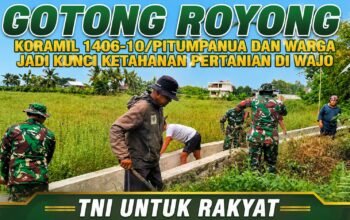 Gotong Royong TNI dan Warga Jadi Kunci Ketahanan Pertanian di Wajo