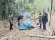 Polsek Kindang Gerebek ki Lokasi Judi Sabung Ayam di Desa Garuntungan