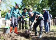 Tanam Pohon di Kindang Warnai ki Peringatan Hari Lingkungan Hidup Sedunia 2026