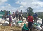 Program Ketahanan Pangan Polda Sulsel Berbuah Hasil, Bulog Serap Panen Jagung Petani