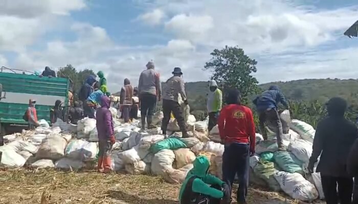 Program Ketahanan Pangan Polda Sulsel Berbuah Hasil, Bulog Serap Panen Jagung Petani