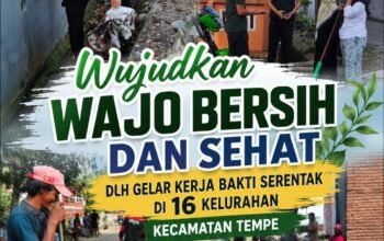 Wujudkan Wajo Bersih dan Sehat, DLH Gelar Kerja Bakti Serentak di 16 Kelurahan Kecamatan Tempe