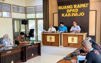 Tiang Listrik di Area Masjid Jadi Sorotan, DPRD Wajo Fasilitasi Dialog Warga dan PLN