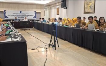 Dinas ESDM Sulbar Berpartisipasi dalam Penyusunan Laporan Implementasi Instrumen Internasional HAM