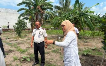 Dukung Ketahanan Pangan, Lapas Bulukumba Bersama Dinas Pertanian Perkuat ki Sinergi Kembangkan SAE Panrita Lopi