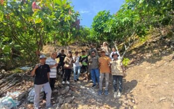Sambut Kunjungan Bappenas, Dinas Perkebunan Sulbar Survei ki Sentra Kakao di Pammulukang