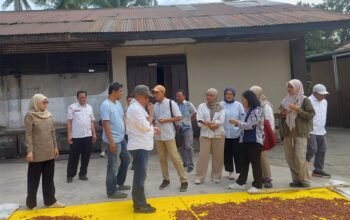 Disbun Sulbar Dampingi ki Tim Bappenas Kunjungan Lapangan ke Sentra Produksi dan Pengolahan Kakao di Polewali Mandar