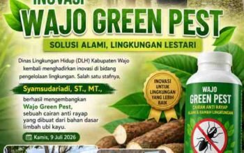 Staf DLH Wajo Ciptakan Cairan Anti Rayap dari Limbah Ubi Kayu, Kadis: Bukti Inovasi Ramah Lingkungan