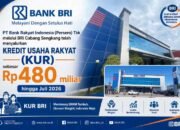BRI Sengkang Salurkan KUR Rp480 Miliar ke 9.145 Debitur, Sektor Pertanian Mendominasi