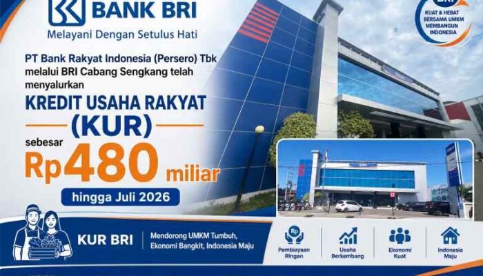 BRI Sengkang Salurkan KUR Rp480 Miliar ke 9.145 Debitur, Sektor Pertanian Mendominasi