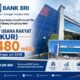 BRI Sengkang Salurkan KUR Rp480 Miliar ke 9.145 Debitur, Sektor Pertanian Mendominasi