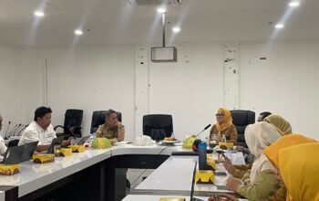 Kadis DKPPKB Sulbar Tekankan ki Penguatan Tata Kelola DAU-SG Bidang Kesehatan untuk Percepatan Peningkatan Kinerja Daerah