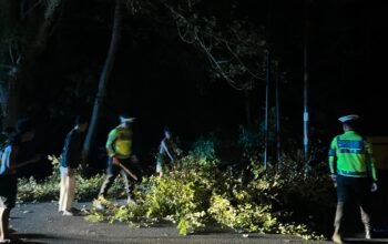 Polantas Polda Sulbar: Hadir ki Sebagai Solusi, Bersihkan Tumpukan Ranting Demi Keselamatan Pengguna Jalan