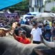 Tauwwa Brutus Juara ki Kontes Sapi Hasil IB, Bupati Andi Utta Sebut Tahun Depan Kita Bikin Skala Lebih Besar