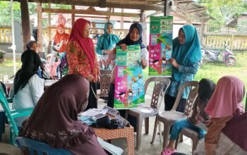 Hebat ki Tauwwa Kader dan Posyandu Bulukumba Juara 1 Tingkat Sulsel, Wakili Sulsel di Ajang Nasional