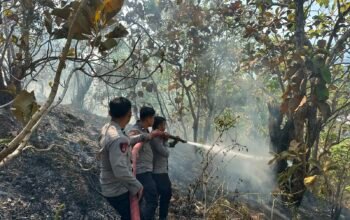 Polresta Mamuju Bersama TNI-Pemda Sigap Padamkan ki Karhutla di Desa Sumare, Permukiman Warga Terlindungi