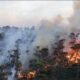Cegah Karhutla Meluas, Gubernur Sulbar Imbau ki Warga Tidak Buka Lahan dengan Menggarap Api