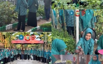 Kunjungi Kebun Hatinya PKK di Mangasa, Rini Puspita Aril Panen Tauwwa Sayur Wujudkan Ketahanan Pangan