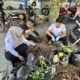 Hebat Mentongi, UPTD SPF SMP Negeri 10 Menuju Sekolah Adiwiyata