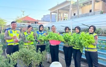 Dari Kebun ke Jalan, Ditlantas Polda Sulbar Wujudkan ki Ketahanan Pangan Lewat Aksi Berbagi untuk Masyarakat
