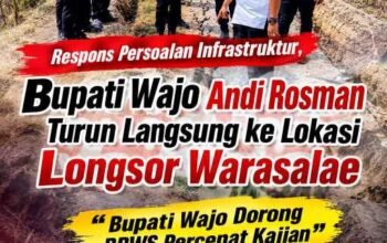 Respons Persoalan Infrastruktur, Bupati Wajo Andi Rosman Turun Langsung ke Lokasi Longsor Warasalae