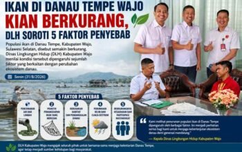 Ikan di Danau Tempe Wajo Kian Berkurang, DLH Soroti 5 Faktor Penyebab