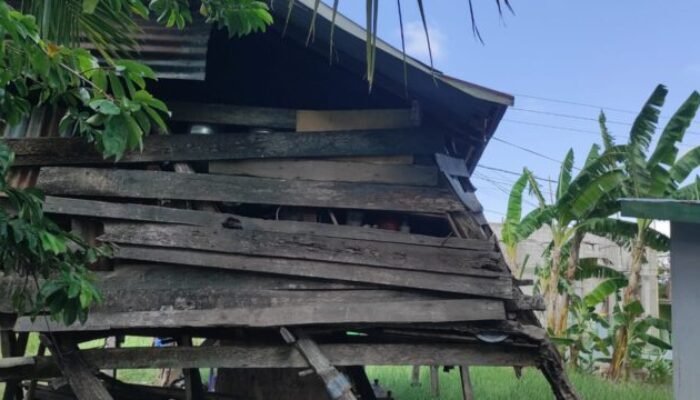 Messi Nyawae, Rumah Sudah Miring Masih di Tempati, Ani selalu Was-Was Kalau Roboh Keselamatannya?