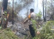 Karhutla Tawalian Mamasa Bakar ki 2 Hektare Lahan, TNI-Polri dan Damkar Turun Tangan Api Dicegah Mendekati Permukiman