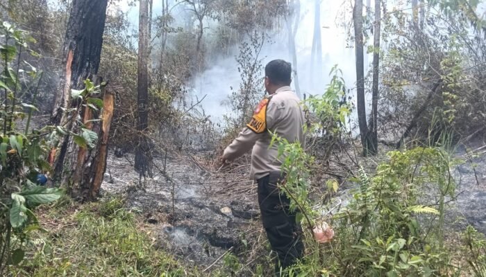 Karhutla Tawalian Mamasa Bakar ki 2 Hektare Lahan, TNI-Polri dan Damkar Turun Tangan Api Dicegah Mendekati Permukiman