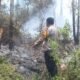 Karhutla Tawalian Mamasa Bakar ki 2 Hektare Lahan, TNI-Polri dan Damkar Turun Tangan Api Dicegah Mendekati Permukiman