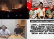 Karhutla Terjadi di Sejumlah Titik, Polresta Mamuju Tegas Amankan ki 3 Terduga Pelaku
