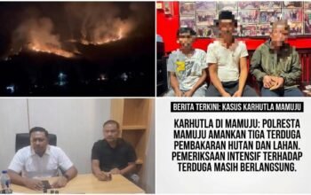 Karhutla Terjadi di Sejumlah Titik, Polresta Mamuju Tegas Amankan ki 3 Terduga Pelaku