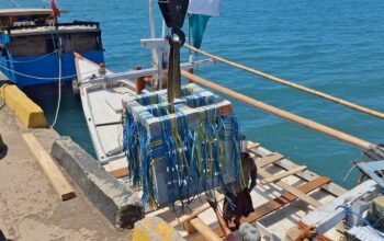 Apartemen Ikan Mulai mi Diturunkan di Dasar Laut, Pemkab Bulukumba Bangun Habitat Ikan Dekat Pantai