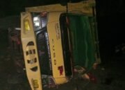 Truk Muatan Kerbau dari Jeneponto Tujuan Bone Terbalik di Tikungan Maut Batuboddong Sinjai