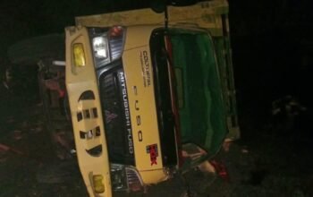Truk Muatan Kerbau dari Jeneponto Tujuan Bone Terbalik di Tikungan Maut Batuboddong Sinjai