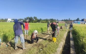 Babinsa Koramil 1406-10/Pitumpanua Bersama Warga Gotong Royong Bersihkan dan Perbaiki Jalan Tani