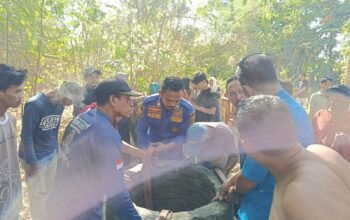 Lansia 58 Tahun Jatuh ke Sumur di Takalar, Damkar Evakuasi Dalam 10 Menit