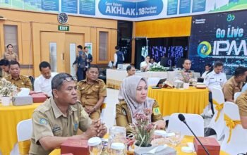 Pemkab Sinjai Sinkronkan Program Listrik Perdesaan dengan PLN Sulsel