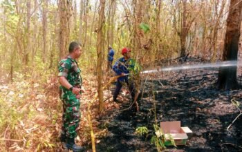 Tim Gabungan Padamkan Kebakaran Lahan 3 Hektare ri Bontonompo Gowa